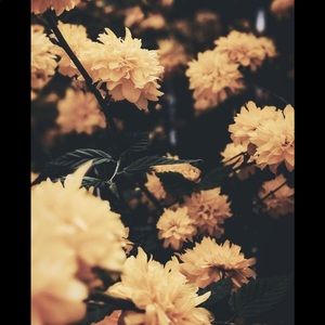 Meet your Posher, Irina